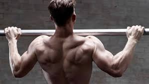 the perfect pull up progression guide ctrl alt fit