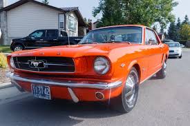 Image result for Poppy Red 1964 Mustang
