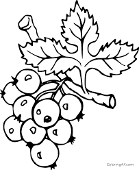 Whitepages is a residential phone book you can use to look up individuals. Blueberries On The Branch Coloring Page Coloringall