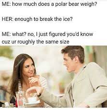 More images for how much does a polar bear weigh meme » Dopl3r Com Memes Me How Much Does A Polar Bear Weigh Her Enough To Break The Ice Me What No I Just Figured Youd Know Cuz Ur Roughly The Same Size