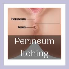 Image result for itchy skin rectum