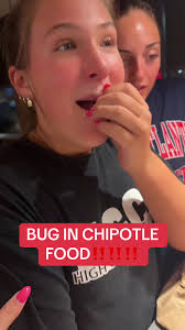 Rat in Chipotle Food