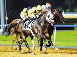 May 14, 2021 · a winning jockey will take 10% of the horse's purse at the kentucky derby, so $186,000 for this year's derby winner, john velazquez (although this could change depending on the current. Watson Pays Tribute To His Team After Sweeping The Card To Make History Horse Racing Gulf News