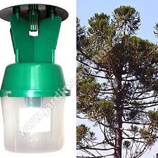 Pia Ge Et Pha C Romone Chenille Processionnaire Du Pin Reusable Water Bottle Bottle Water Bottle