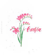 Watercolor Freesia By Amina Of The Sea On Instagram Watercolor Freesia Instagram