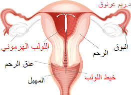 Ù…Ø§ Ù‡Ùˆ Ø§Ù„Ù„ÙˆÙ„Ø¨ Ø§Ù„Ù‡Ø±Ù…ÙˆÙ†ÙŠ ÙˆÙ…Ø§ Ø¢Ù„ÙŠØ© ØªØ£Ø«ÙŠØ±Ù‡ Ø¯ÙƒØªÙˆØ±ØªÙŠ Ø±ÙŠÙ… Ø¹Ø±Ù†ÙˆÙ‚ Facebook