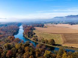 Image result for Vahadenia