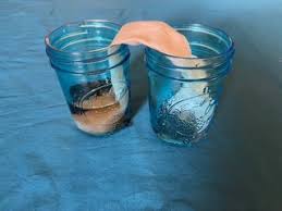 Get it as soon as thu, may 27. Paper Towel Bridge Surface Tension 4 Steps Instructables