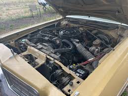 Image result for Golden Fawn 1977 Dodge