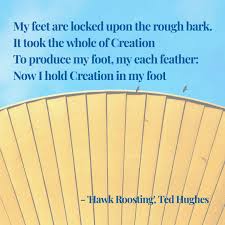 Hawk Roosting Ted Hughes Plath Poems Sylvia Plath Poems Sylvia Plath