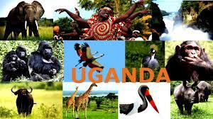 Uganda