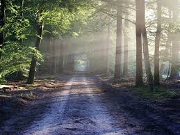 Ln oug på base lørenskog @ jan støkkebo 2018. Ccr A Dat Castig De Cauza Usr Si Pnl In Cazul Ariilor Naturale Protejate