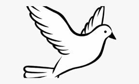 Draw a similar figure right underneath the upper beak to create the lower beak. Dove Bird Drawing Easy Novocom Top