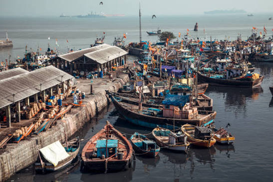 150+ Fishing Harbour In Mumbai Stock Photos, Pictures & Royalty-Free Images - iStock