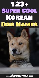 So to help you out, we've compiled our favorite small dog names all in one place. 123 Super Cool Korean Dog Names Dog Names Cute Names For Dogs Dogs Names List