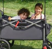 Amazon.com: EVER ADVANCED Carro plegable para dos niños y carga, plegable  con barra de mango ajustable, toldo extraíble con arnés de 5 puntos, color  ...