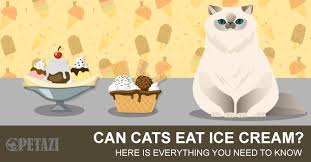 Ice cream may sound like the perfect thing to give your cat on a hot summer's day. Can Cats Eat Ice Cream Is Ice Cream Good For Cats Petazi