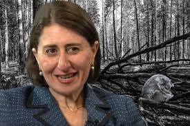 Sussan Ley's latest koala plan is a national disaster