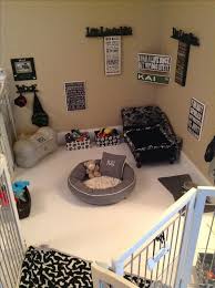 Una Excelente Ide Para La Habitacion De Nuestos Amigos De 04 Patas The Ultimate Dog Room 3 Puppy Room Dog Rooms Dog Bedroom