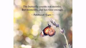 The 100 Butterfly Quotes Lovequotesmessages