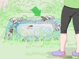 Find out how to attract birds into your garden all year round. 4 Ways To Attract Frogs Wikihow