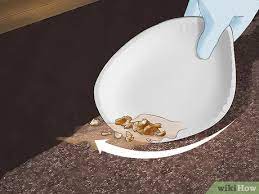 How To Clean Up Vomit: 12 Steps (With Pictures) - Wikihow
