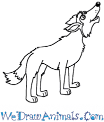 Draw a simple shape lightly as shown below. How To Draw A Cartoon Wolf Howling