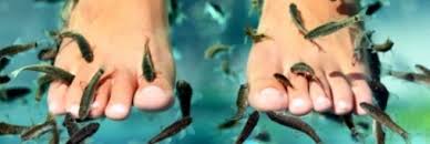 D'abord confiée à théo van gogh pour une éventuelle vente. J Ai Teste La Fish Pedicure