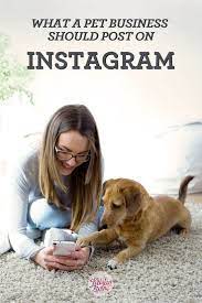 5 Things Pet Businesses Should Post On Instagram Pet Businesses Pet Sitting Business Dog Business
