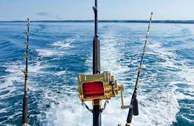 Fishing in new zealand is a popular pastime. New Zealand Sport Fishing Council