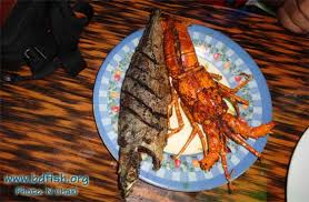 Image result for Saint Martin bangladesh  big size pic