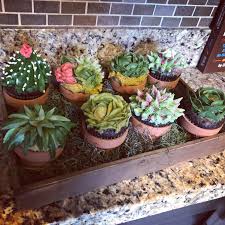 The weather is getting warmer here and instead of the same old lettuce, tomato, etc., salad, i decided to make a nutritious ensalada de nopales. Succulent Cupcake Succulents Arts Culture
