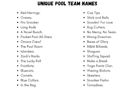 400 Unique And Cool Name Ideas For Your Pool Team
