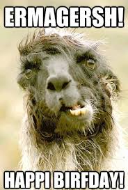 Funny Birthday Greetings Happy Birthday Meme For Him Best Funny Birthday Wishes For Men Make A Funny Bday In 2020 Birthday Quotes Funny For Him Happy Birthday Quotes Funny Funny Happy Birthday Pictures