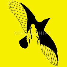 Der rabe, der auch auf dem cover von zenit zu sehen ist, steht in Pin Auf Raf Camora