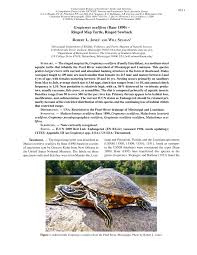 Barbour's map turtles most commonly occur in the main channels of large rivers with adequate flow. Pdf Graptemys Oculifera Graptemys Oculifera Baur 1890 Ringed Map Turtle Ringed Sawback