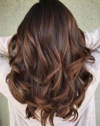 And remember, sky's the limit when it comes to experimenting with hair colors so feel free to explore all the possibilities. 13 Stunning Hair Colour Ideas For Brunettes Blush Pearls