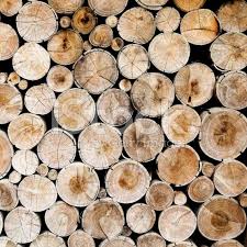 Pile Of Wood Logs Ready For Industry Wood Logs Wood Woodworking Projects Plans