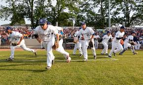 Victoria Harbourcats In Victoria Bc Ca Groupon