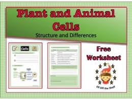 Plants and animals are made up of millions of cells and these cells have several structurally, plant and animal cells are very similar because they are both eukaryotic cells. Plant And Animal Cells Structure And Differences Worksheet Ks3 Teaching Resources