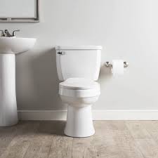 We did not find results for: Lowe S Aquasource Toilets Parts Reviews For 2021 Homeaddons