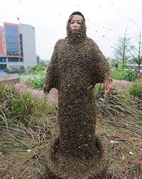 She Ping The Bee Keeper World Strange Facts Bee Bee Keeper Weird Facts
