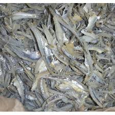 Jenis ikan konsumsi air tawar bilih atau bilis. Teri Belah Teri Kacang Teri Jengki Ikan Bilis Shopee Indonesia