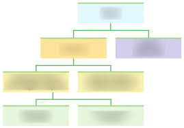 Receive and processes sensory information, initiate responses, stores, memories generates thought and emotions. Psychology 101 Section 1 Nervous System Flowchart Diagram Quizlet