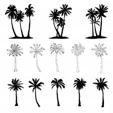 A great symbol for tropical and exotic locations as well as travel and holidays. Premium Vector Vector Palm Tree Silhouette Set