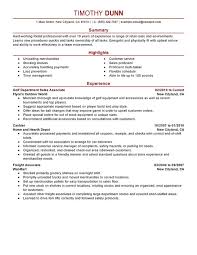 Resume For Retail Sales Resume Format