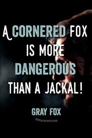 A Cornered Fox Is More Dangerous Than A Jackal Gray Fox Mgs Metalgearsolid Gaming Quote Metal Gear Metal Gear Solid Video Game Quotes