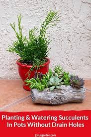 One way is to drill one. How To Plant Water Succulents In Pots Without Drain Holes