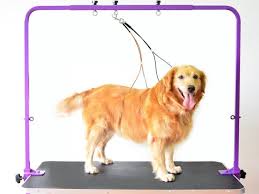 Pure balance, frontline, purina one, iams Adjustable Overhead Pet Grooming Arm With Clamps And Harness For Dog Grooming Table By Pet Line Black Or Purple In Kinnegad Westmeath From Coolik