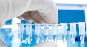 A swab is a soft tip on a long, flexible stick that goes into your nose. Pzrd50yp M Zvm